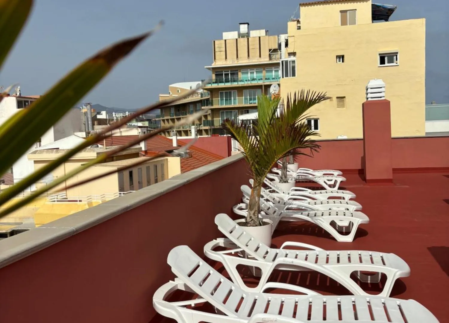 Rosamar Playa De Las Canteras Las Palmas de Gran Canaria Apartment